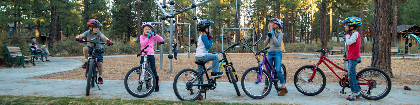 Five kids on bikes hang out at a wooded park and playground.