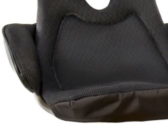 HP Velotechnik BodyLink Seat Wings from January 2010 on a white background.