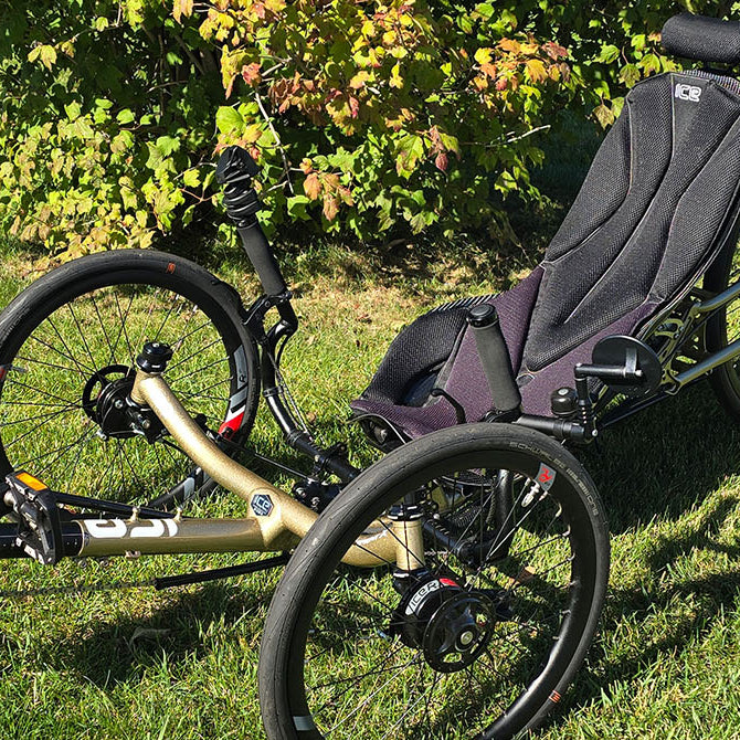 An ICE Sprint X 700 RS STEPS EP 801 Custom Red Gold Recumbent Trike sits on a green lawn in front of a bush with fall colors.