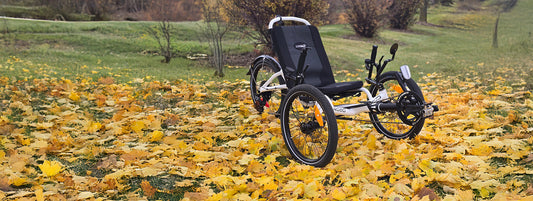 The Catrike All Road Recumbent Trike in Star White against a grassy background with yellow autumn leaves.