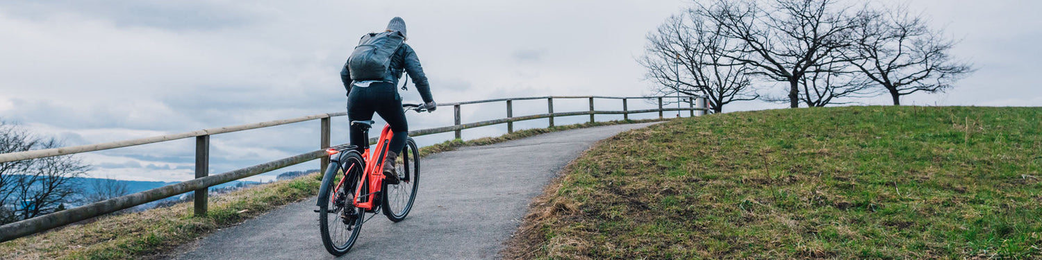 A bicyclist pedals an orangish-red e-bike up a path alongside a wooden fence on a steep grassy hill  with a cloudy sky and bare trees in the background.