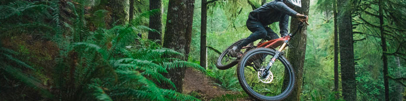 A mountain biker goes airborne down a steep forest path surrounded by ferns.
