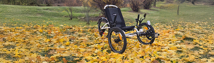 The new Catrike All Road Recumbent Trike in Star White in an outdoor fall setting.