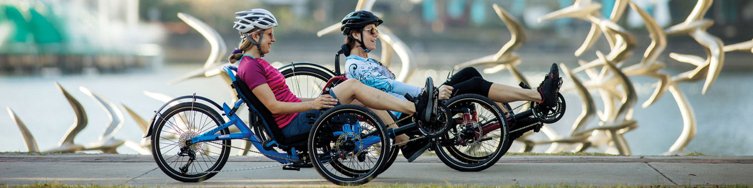 Two women ride recumbent trikes along a waterfront with an abstract sculpture of birds along the trail.