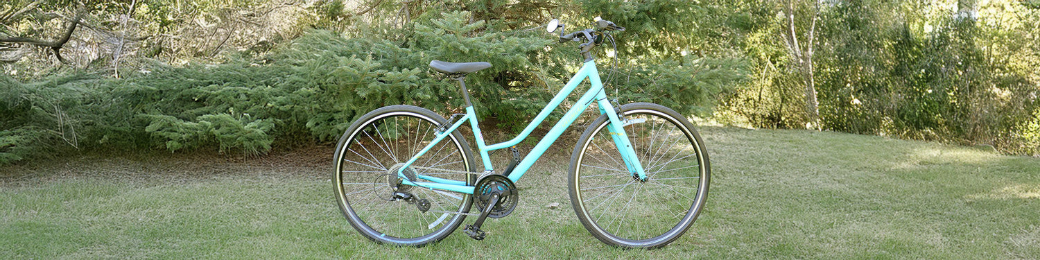 A used Specialized Alibi Sport in teal sits in front of a pine tree on grass.