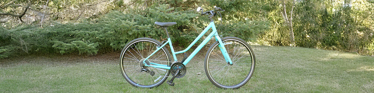 A used Specialized Alibi Sport in teal sits in front of a pine tree on grass.