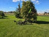 ICE Sprint X 700 On a green grass field, with a building in the backround, and a tree.