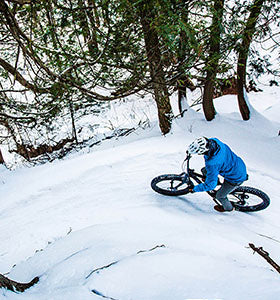 Image of a man riding a fat bike through a snowy wooded setting.