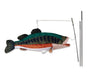 Premier Kites Swimming Fish Recumbent Bike Flag Bass Studio Image