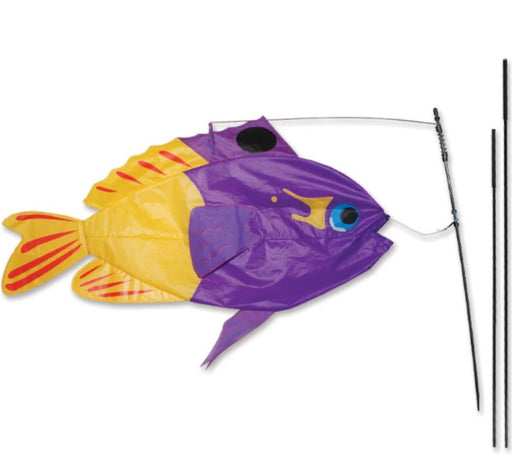 Premier Kites Swimming Fish Recumbent Bike Flag Fairy Basslet Studio Image