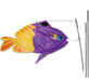 Premier Kites Swimming Fish Recumbent Bike Flag Fairy Basslet Studio Image