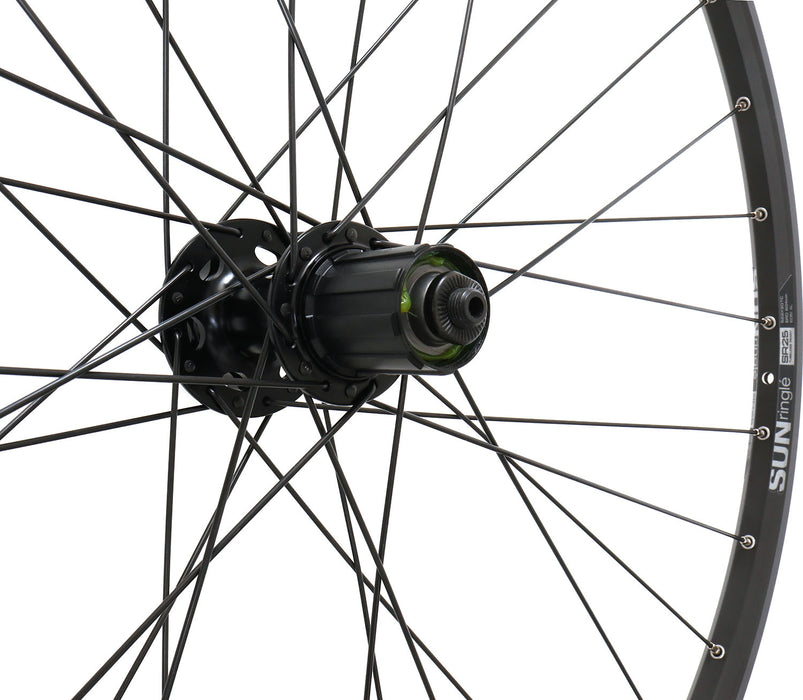 Quality Wheels Double Wall 29" Quick Release Black Disc Rear Wheel, studio drive side detail view