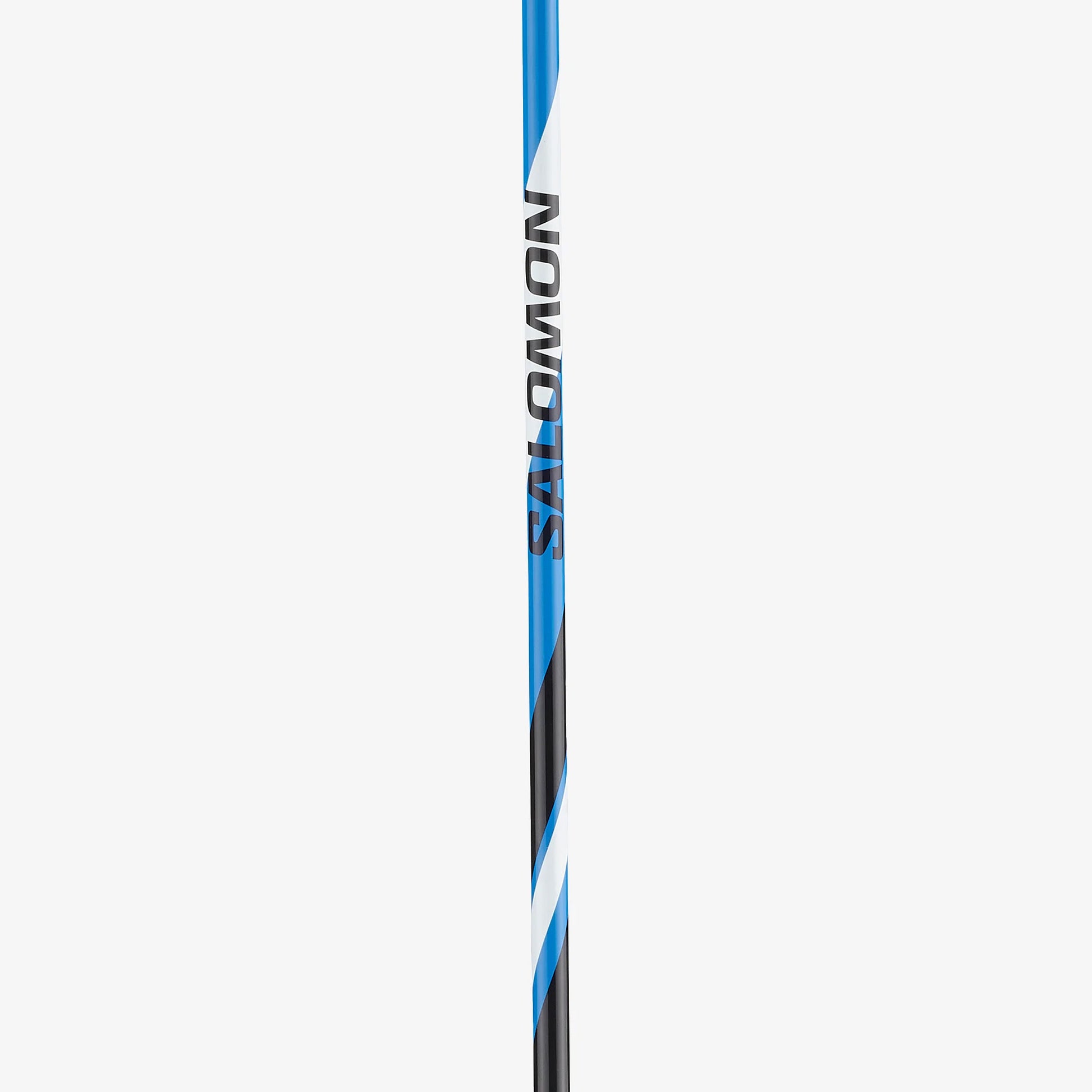 classic cross country poles Salomon R 30 Click Poles