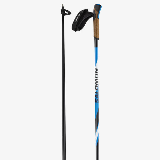 Salomon R30 Skating/Classic XC Poles for winter cross country skiing
