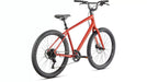 Specialized Roll 3.0 city recreational path bike bicycle Redwood/ Smoke/ Black