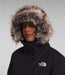 The North Face Women's Arctic Parka TNF Black, studio front hood detail view