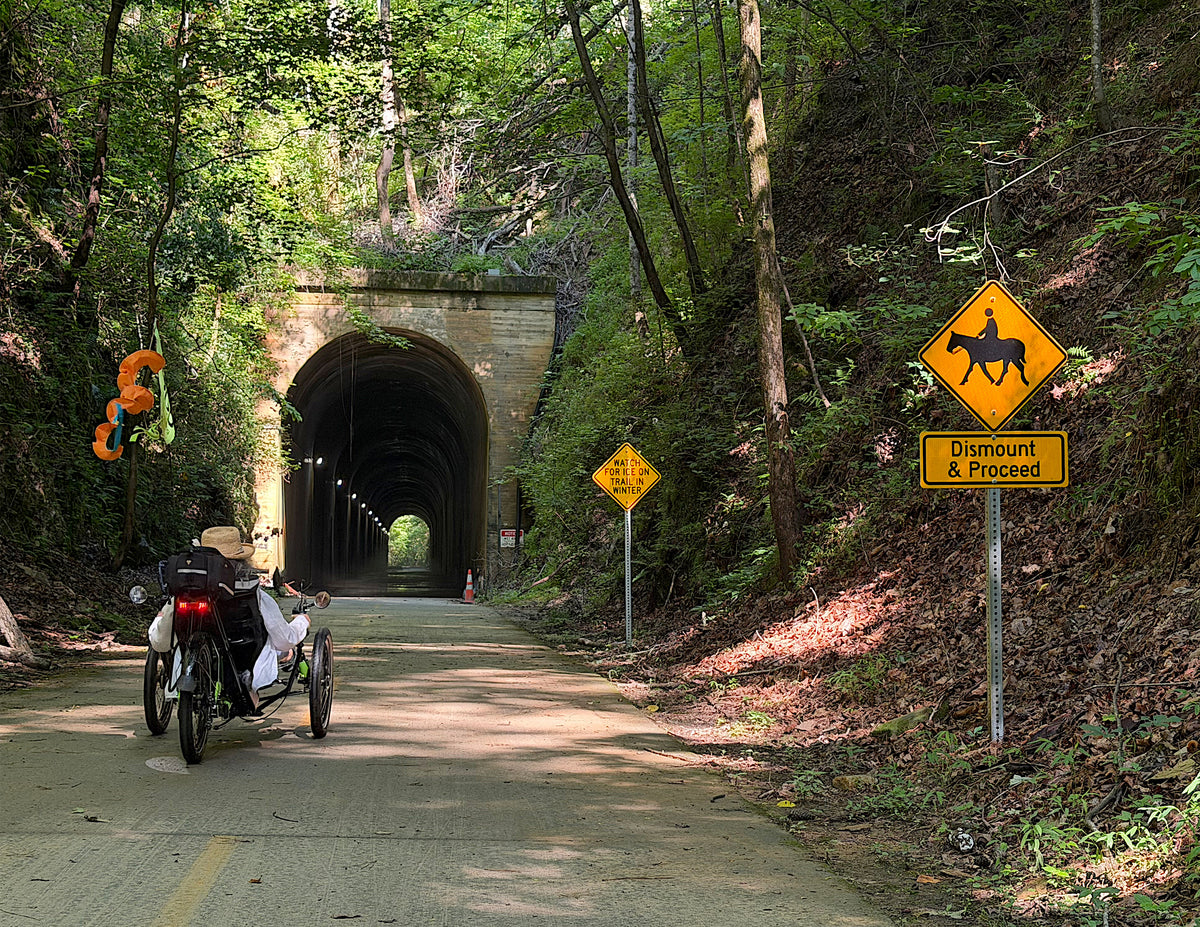 A person on a recumbent trike travels along a paved road leading toward a stone tunnel surrounded by dense green trees. Yellow road signs are visible on both sides, including a horse crossing sign and a 'Dismount & Proceed' sign.
