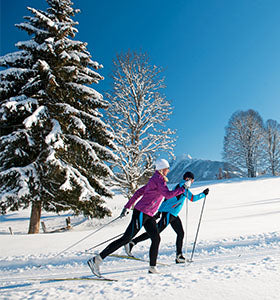 A man and a woman cross country ski through a snowy wooded landscape on a sunny day with mountains in the background.