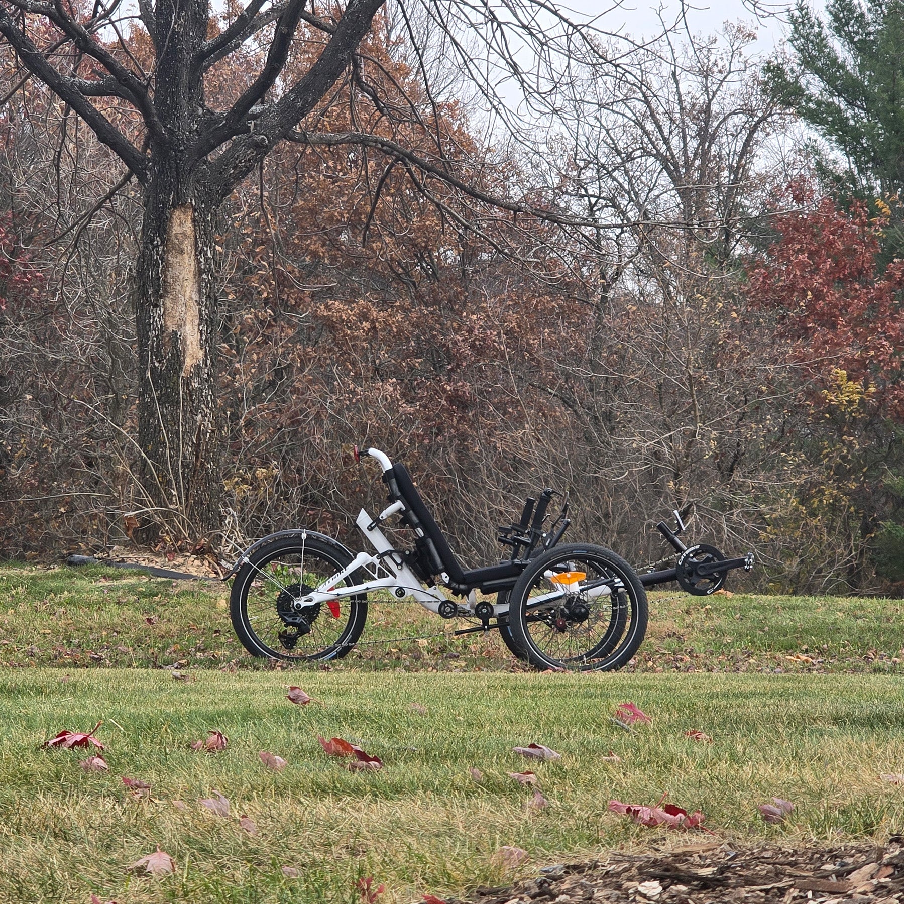 Three-wheeled recumbent trike on grass with trees in the background.