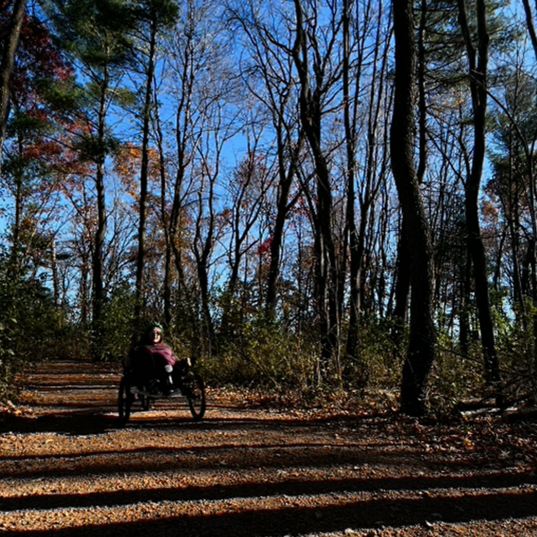 Person on a recumbent trike on a forest path with trees and blue sky.