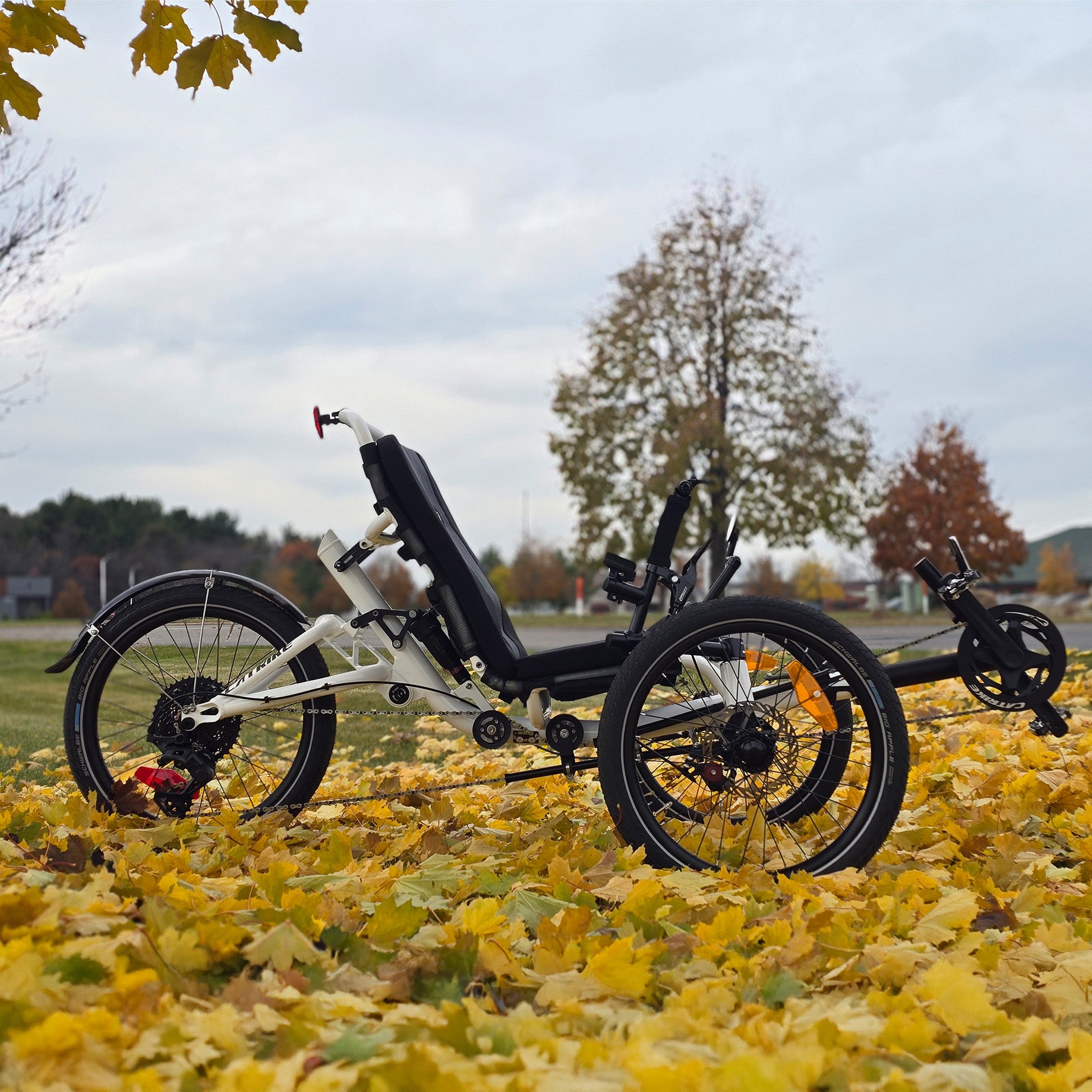 Side view of the Catrike All Road in Star White in a fall outdoor setting.