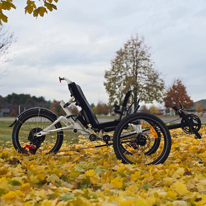 Side view of the Catrike All Road in Star White in a fall outdoor setting.
