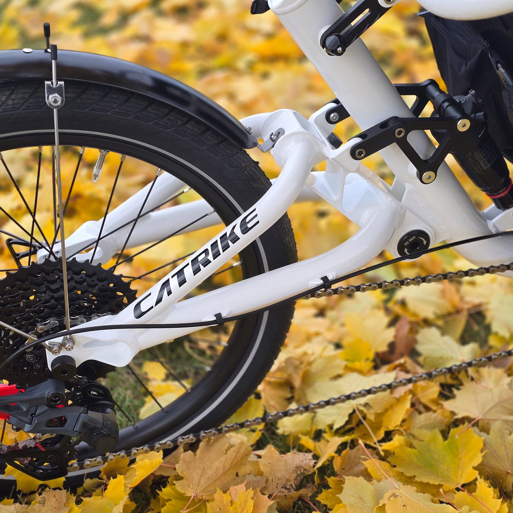 Closeup view of the back end of the Catrike All Road in Star White in an outdoor fall setting.