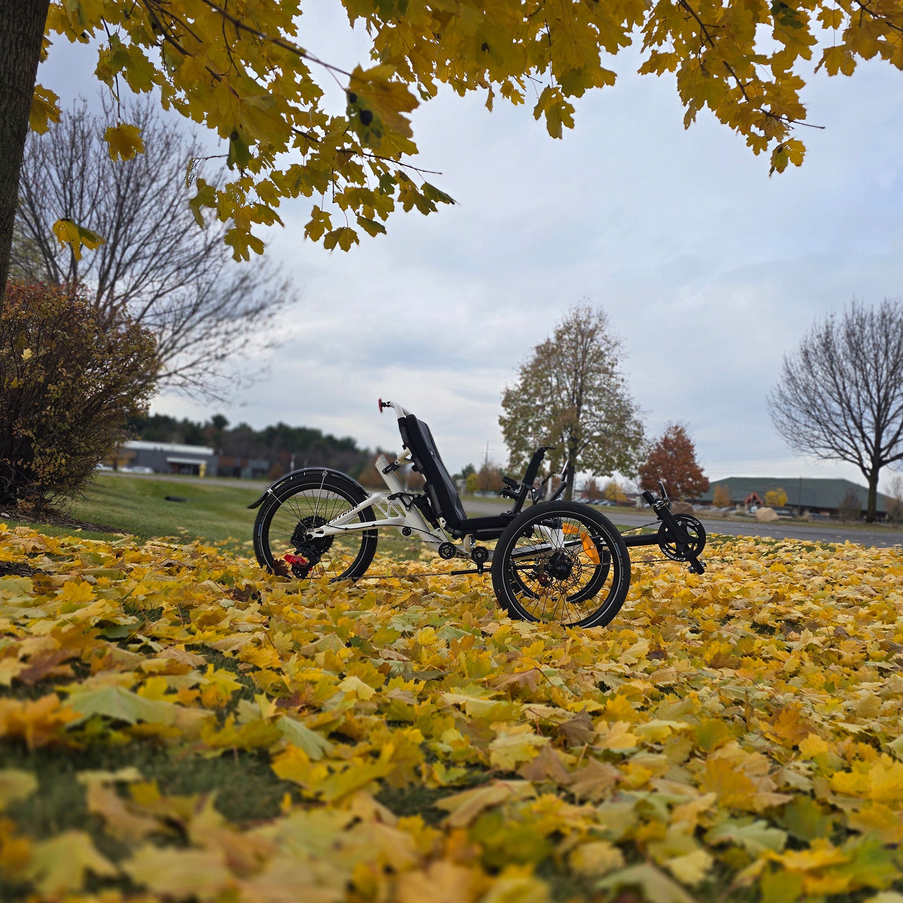 Three-wheeled recumbent trike on a path with autumn leaves and trees in the background