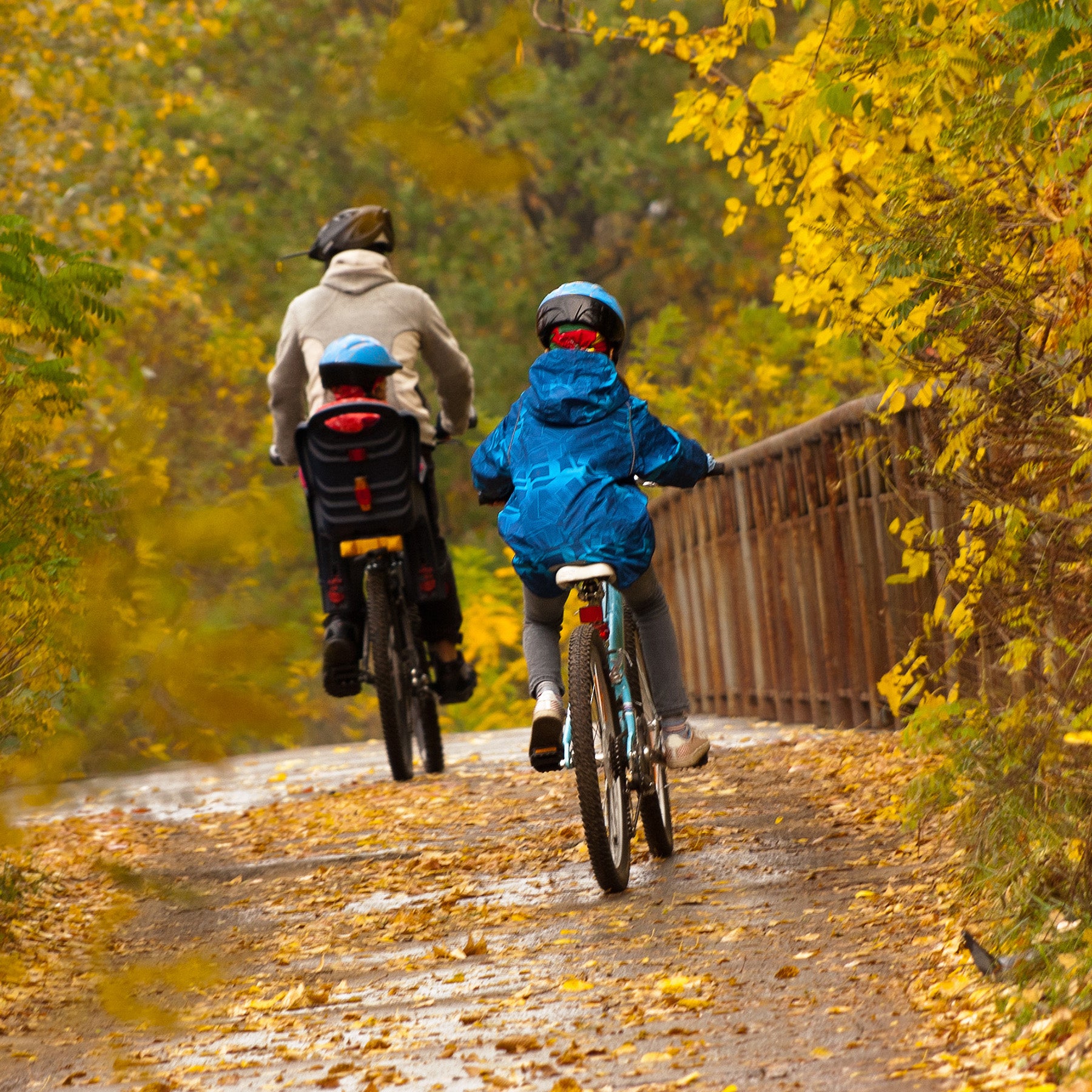 Three people riding bicycles on a path lined with autumn foliage.