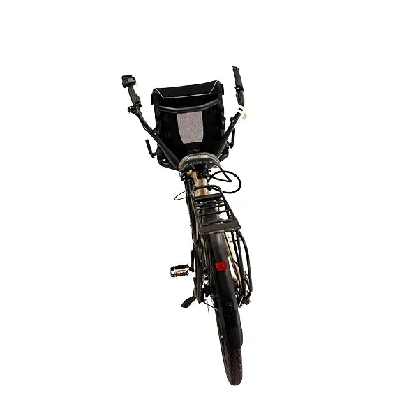 Rear view of the Hase Pino EP6 Cargo Grey Beige Tandem Recumbent Bike against a white background.