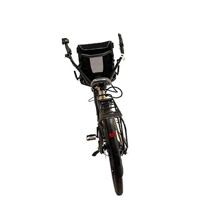 Rear view of the Hase Pino EP6 Cargo Grey Beige Tandem Recumbent Bike against a white background.
