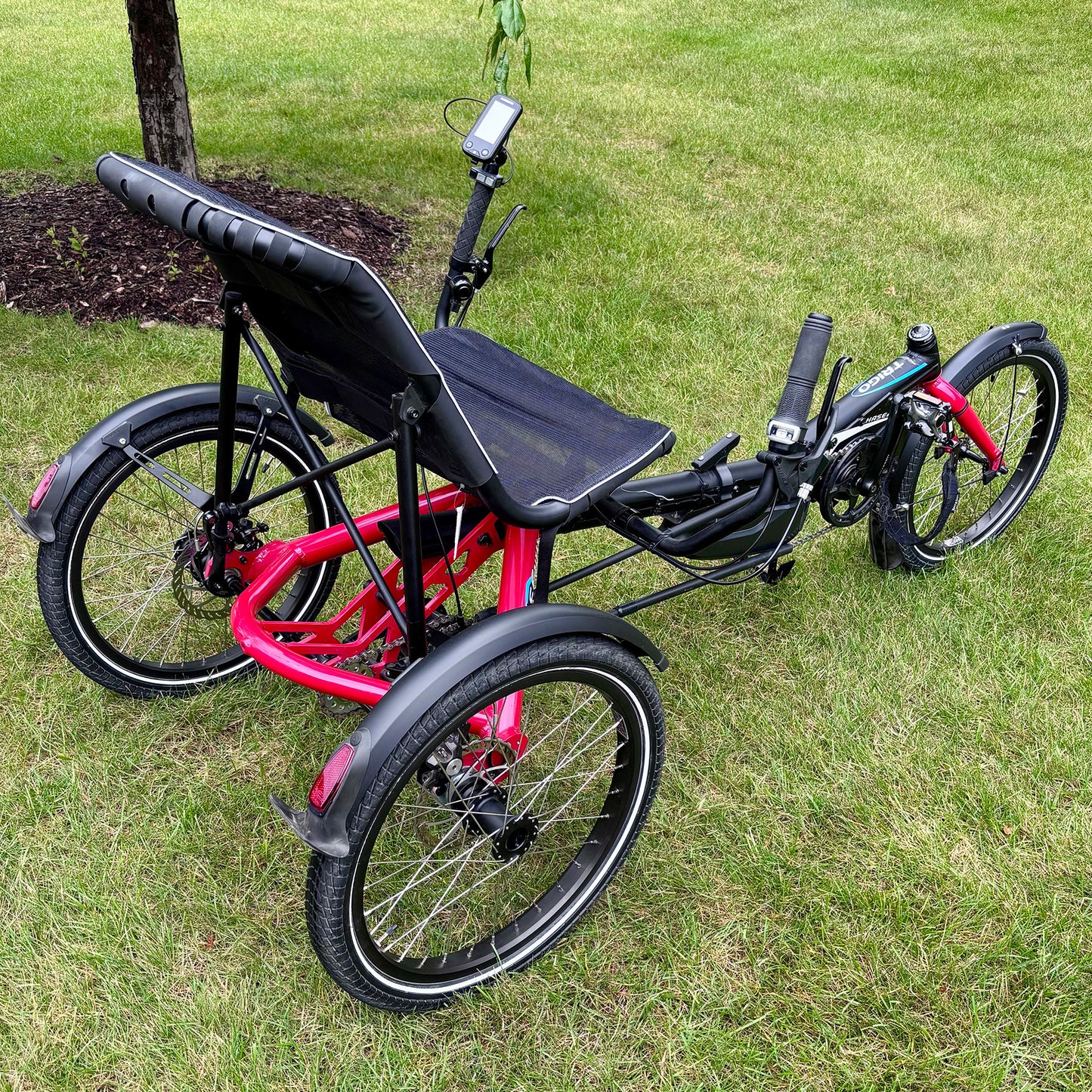 Red Hase Trigo recumbent tricycle on grass.