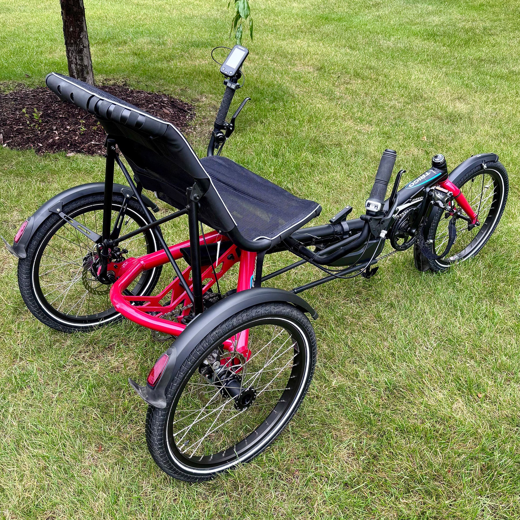 Red Hase Trigo recumbent tricycle on grass.
