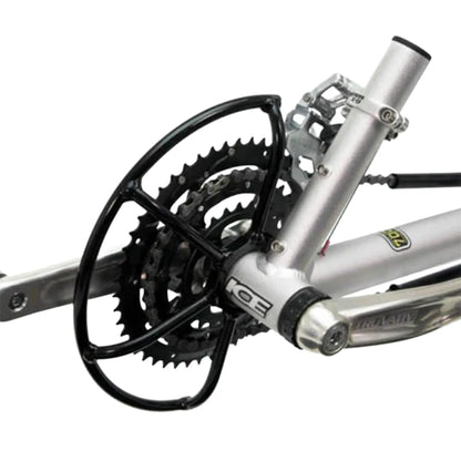 View of the ICE Chainring Guard in black installed on a silver ICE 
Trike against a white background.
