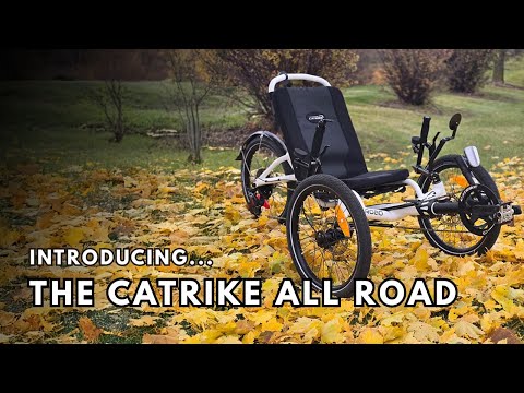 The white Catrike All Road sits on a yellow leaf covered lawn.