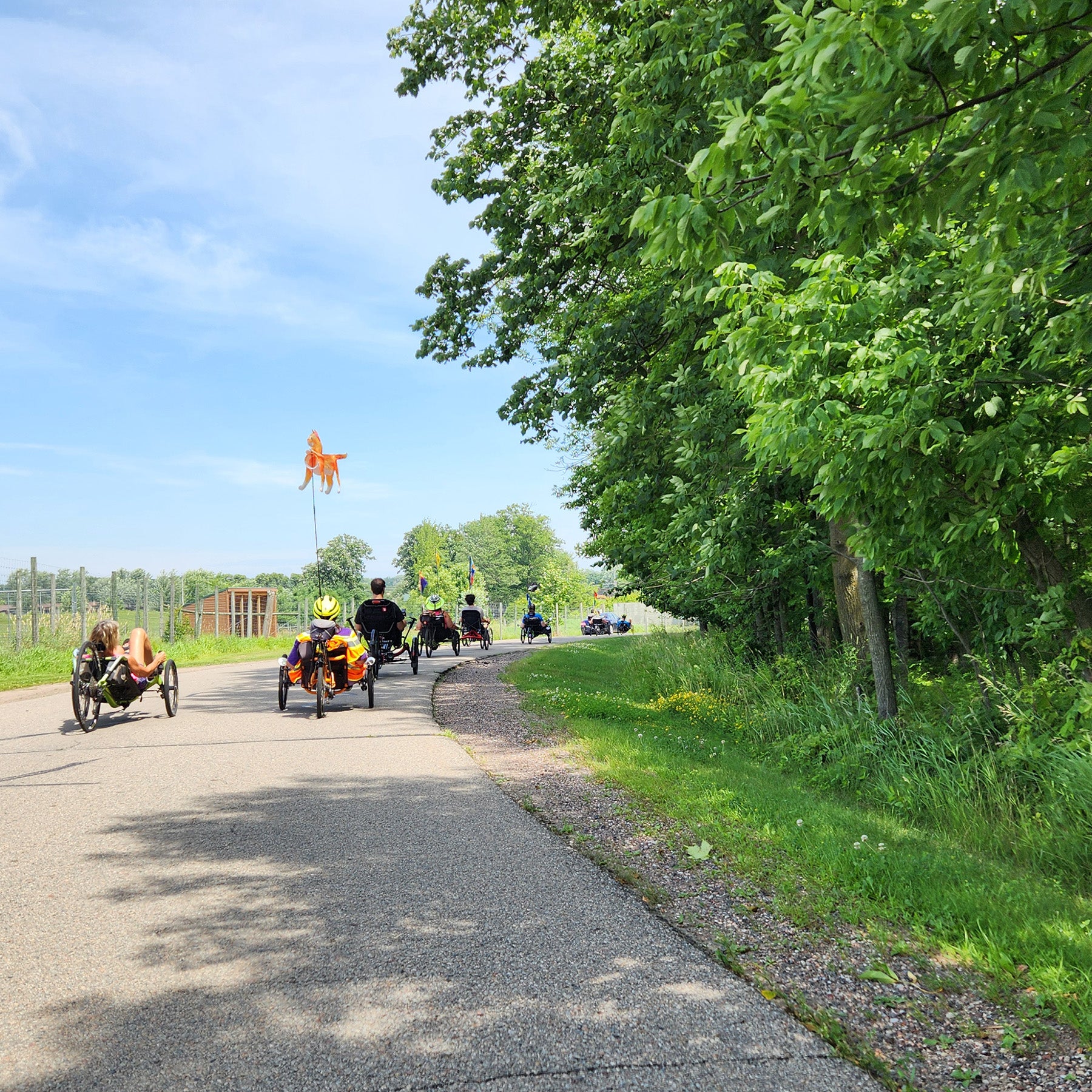 People riding recumbent bikes on a paved road with trees and a flag in the background.