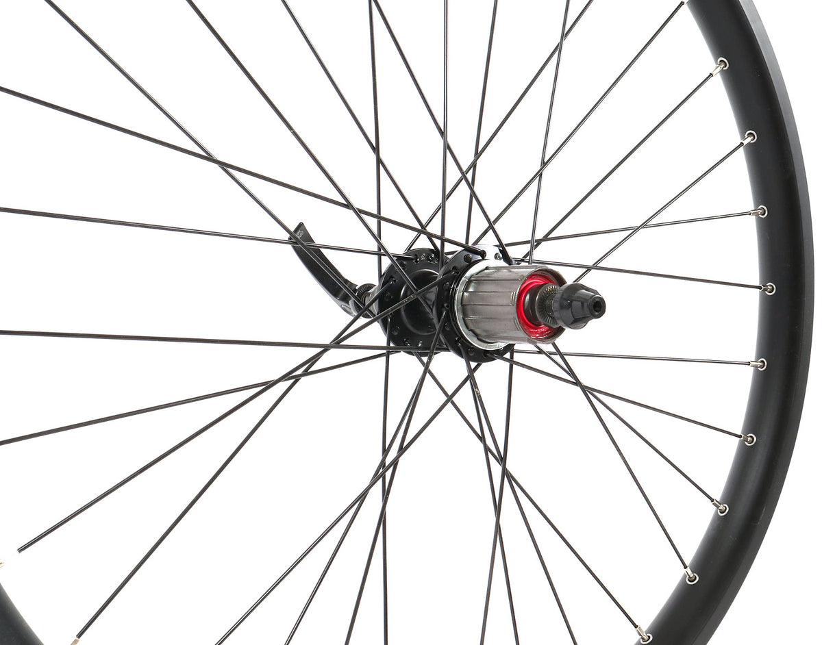 Terratrike Rover Rear Wheel TerraTrike 24 Inch Double Wall Black Rear Wheel – Hostel Shoppe